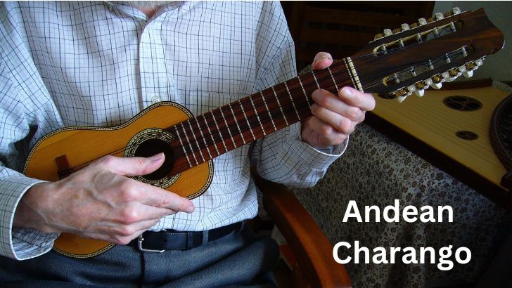 what is a charango musical instrument