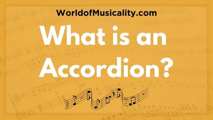 Accordion Musical Instrument