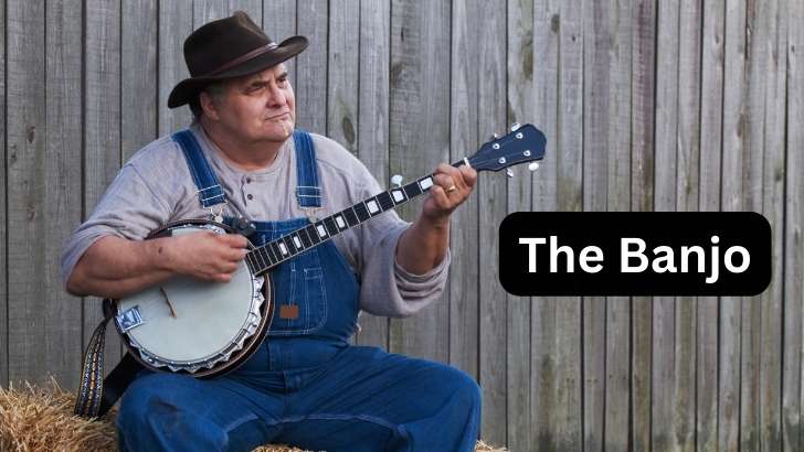 what is a banjo musical instrument?