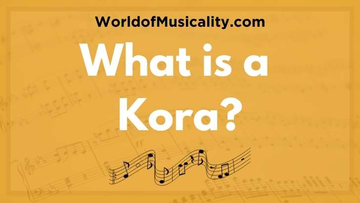 Kora Musical Instrument - West Africa
