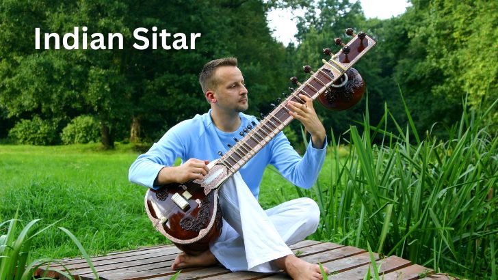 Sitar Musical Instrument