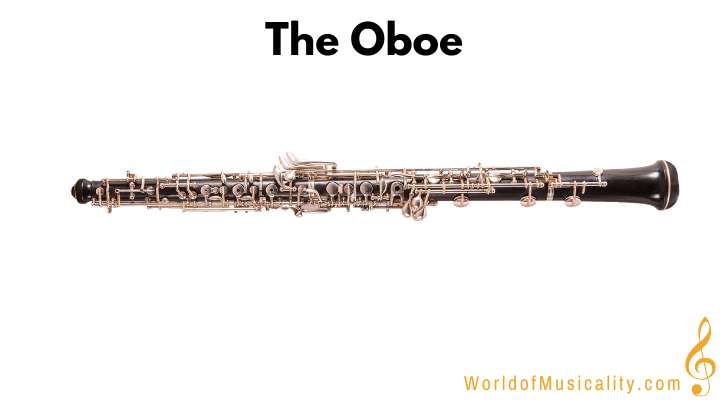 Oboe Woodwind Instrument