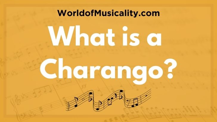 What is a Charango Musical Instrument