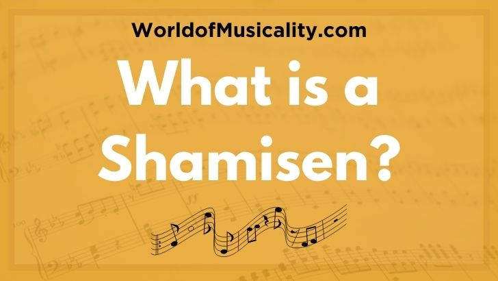 What is a Shamisen musical instrument
