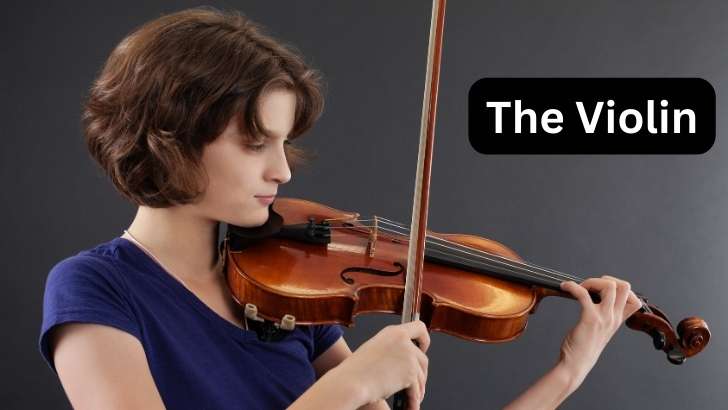 What is a Violin Musical Instrument