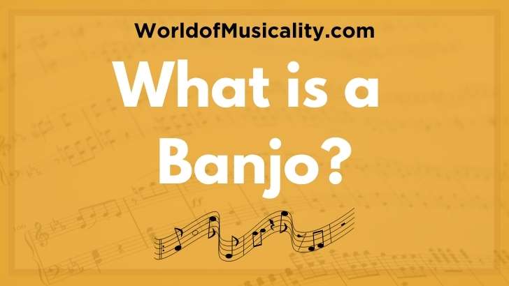 What is a banjo?