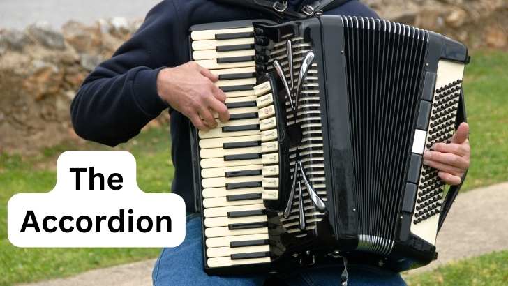 What is an Accordion Musical Instrument?