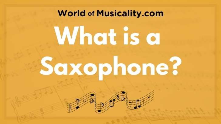 Saxophone Musical Instrument