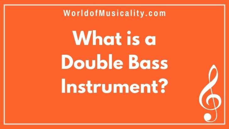 What Is a Double Bass Instrument_ Unveiling the Giant of Strings