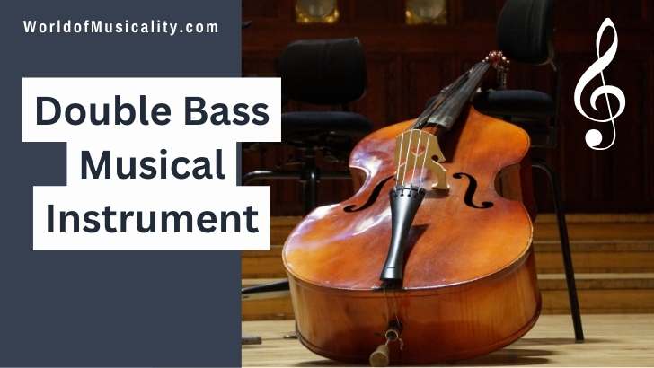 What is a Double Bass Instrument?