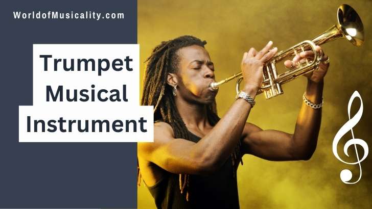 What is a Trumpet Instrument?