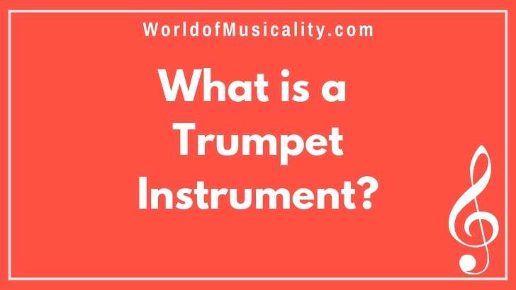 What is a Trumpet Musical Instrument? A Beginners guide