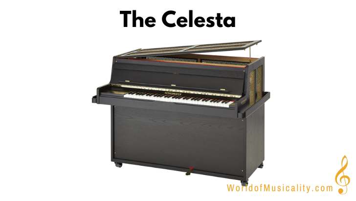 Celesta Percussion Instrument