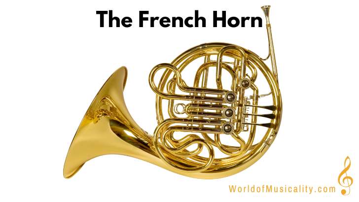 French Horn Brass Instrument