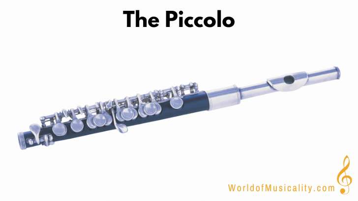 Piccolo Woodwind Instrument