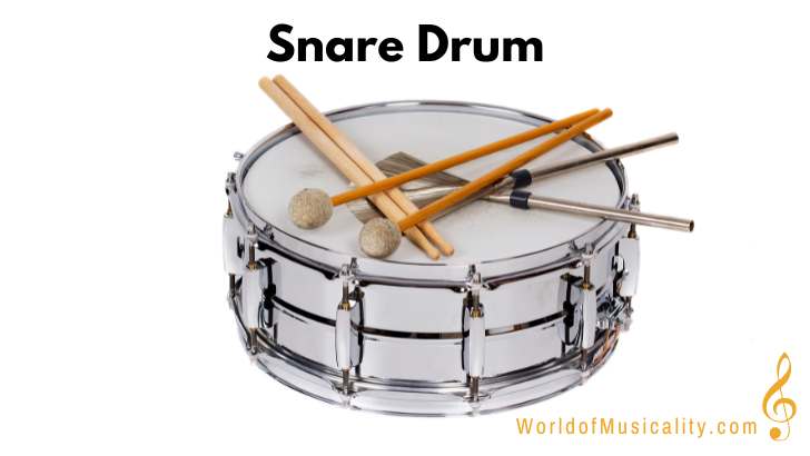 Snare Drum Percussion Instrument