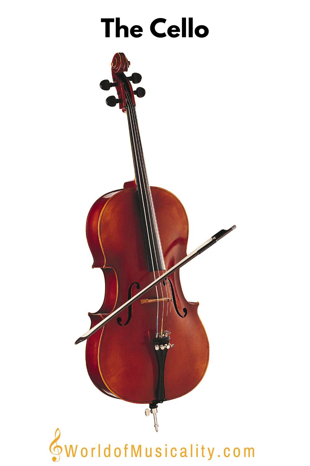 The Cello String Instrument