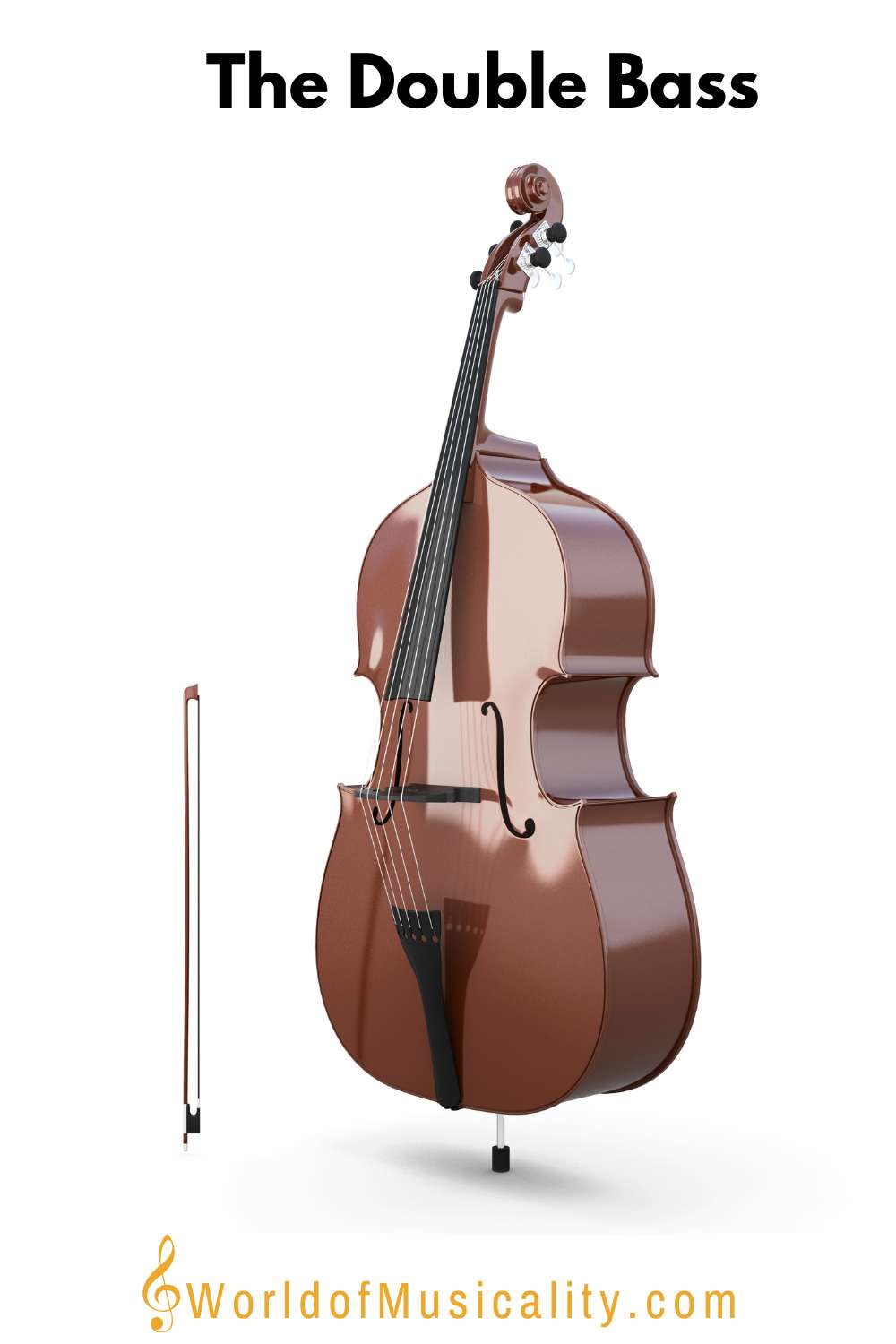 The Double Bass String Instrument