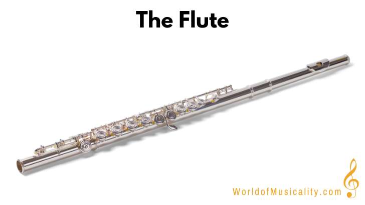 The Flute Woodwind Instrument