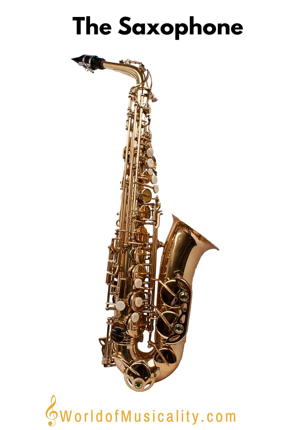 The Saxophone Woodwind Instrument