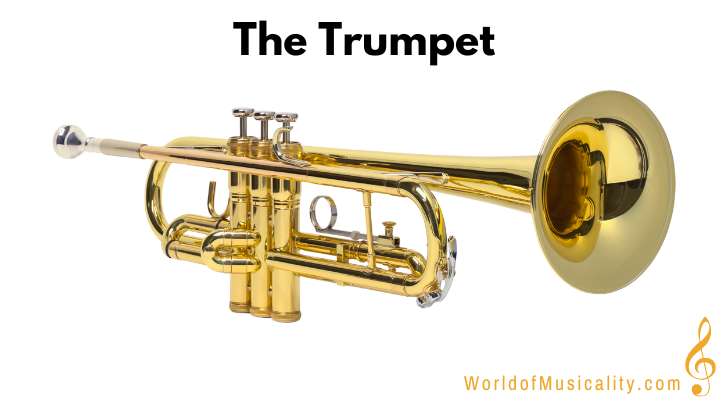 The Trumpet Brass Instrument
