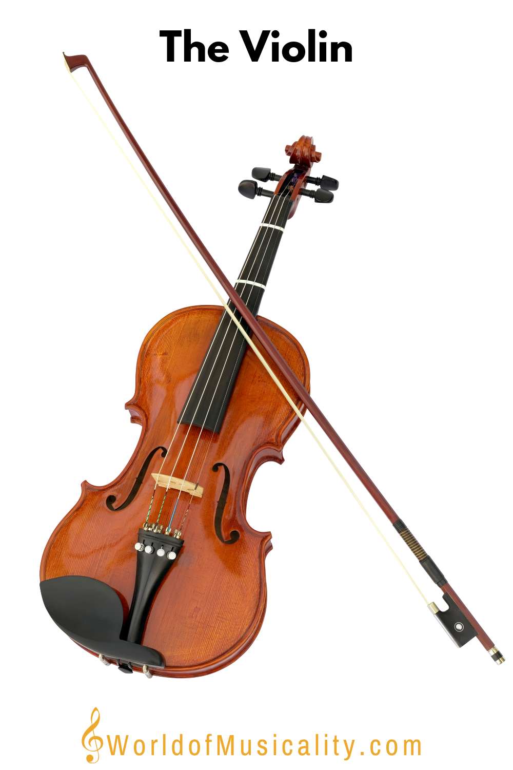 The Violin String Instrument