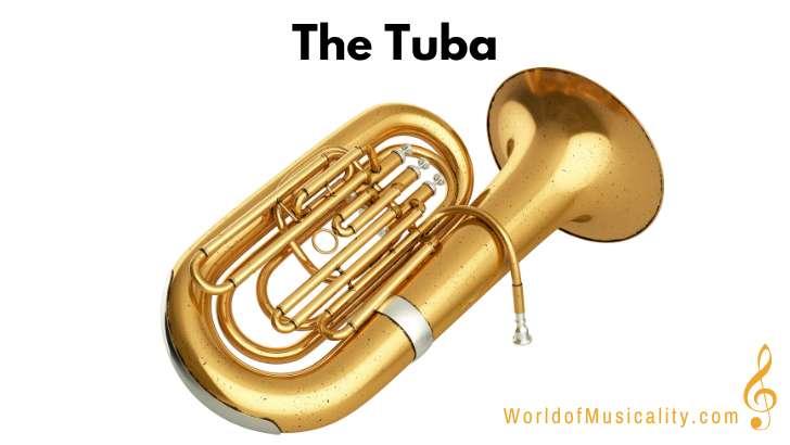 Tuba Brass Instrument