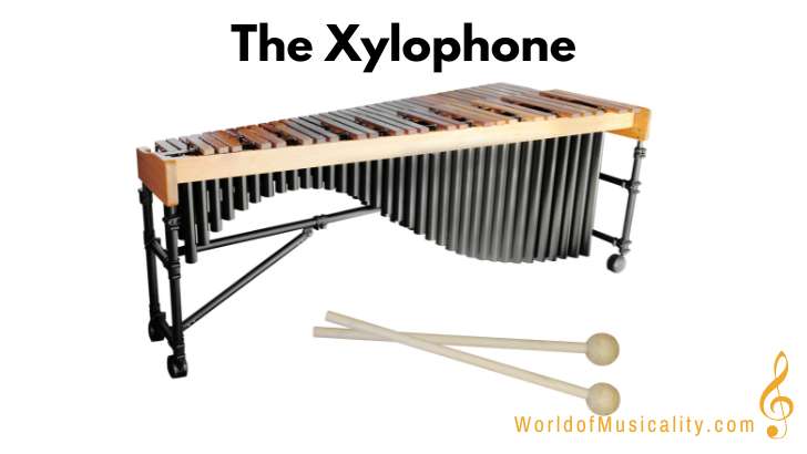 Xylophone Percussion Instrument