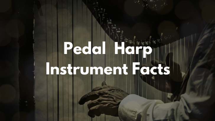 Pedal Harp Instrument Facts