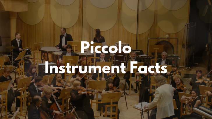 Piccolo Musical Instrument Facts