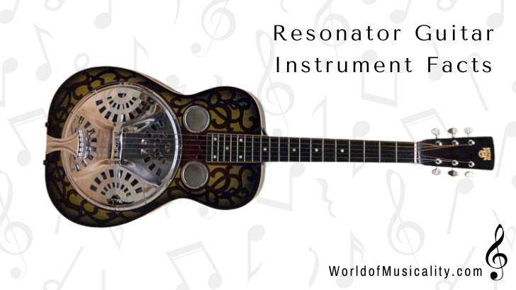 Resonator Guitar Instrument Facts