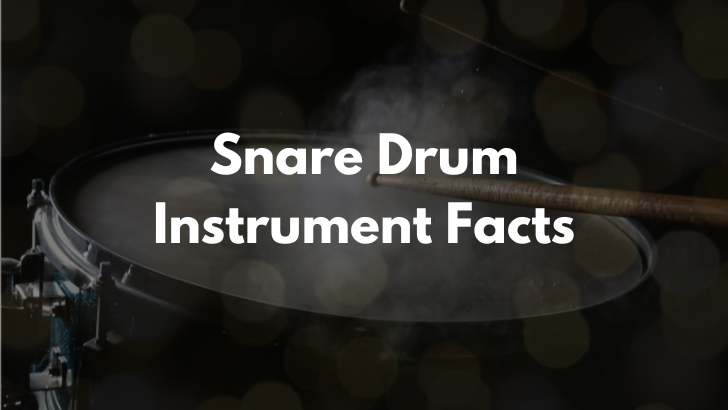 Snare Drum Musical Instrument Facts