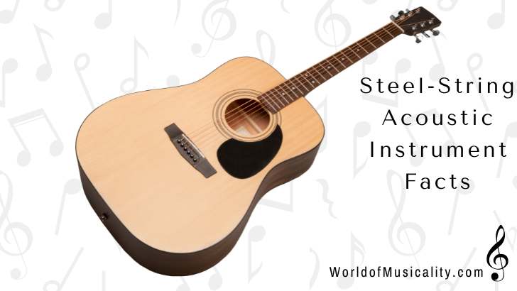 Steel String Acoustic Instrument Facts