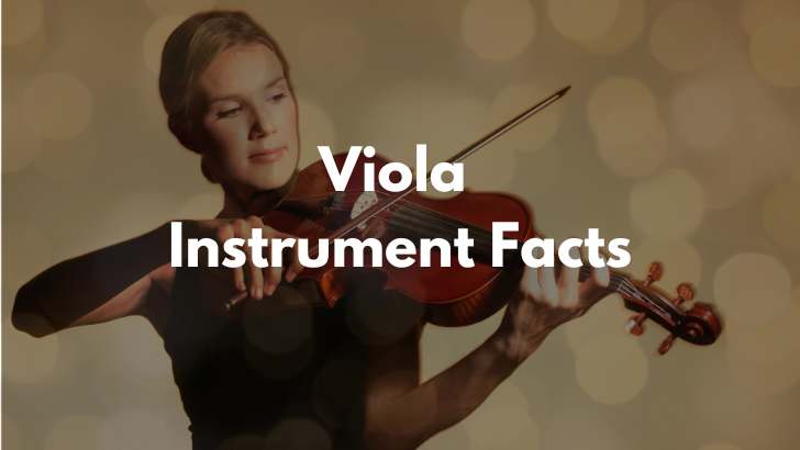 Viola Instrument Facts