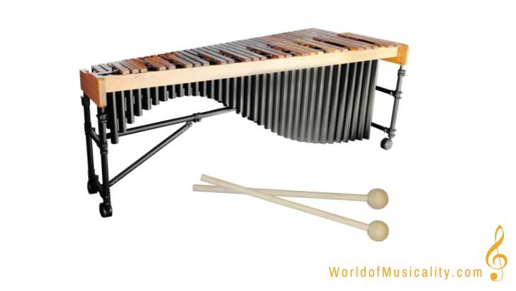 Xylophone Instrument Facts
