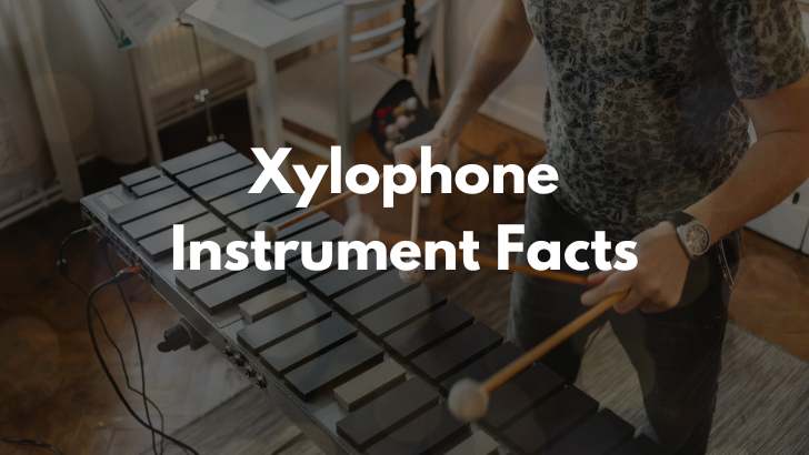 Xylophone Musical Instrument Facts