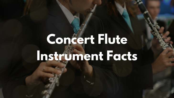Concert Flute Instrument Facts